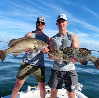 Fishing charter catching grouper in Tampa Bay Florida